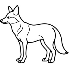 Coyote Outline Sleek Vector Illustration