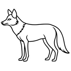 Coyote Outline Sleek Vector Illustration