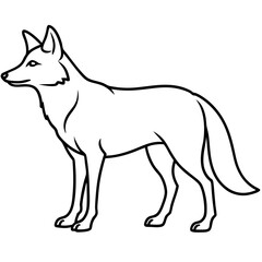 Coyote Outline Sleek Vector Illustration