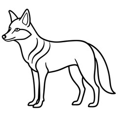 Coyote Outline Sleek Vector Illustration