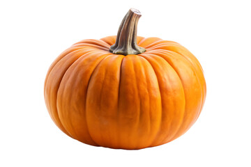 Obraz premium pumpkin isolated on white background