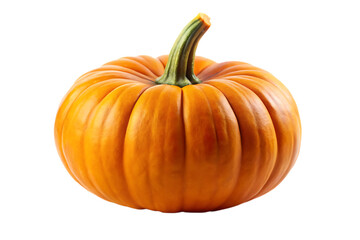 pumpkin isolated on white background
