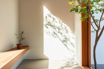 Fototapeta premium Minimalist Biophilic Design Serene Natural Light Meditation Space with Organic Wood Texture and Living Plant - Wellness Architecture Inspiration
