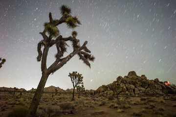 Night Sky Astrophotography at Joshua Tree National Park