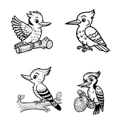 Obraz premium Woodpecker...