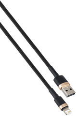 Cable with USB and Lightning connector