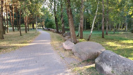 In the city park, a tiled walkway is laid out among pine, aspen and birch trees growing on grassy lawns. There are many boulders along it. Sunny autumn weather