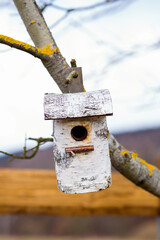 Wooden birdhouse hanging on a tree