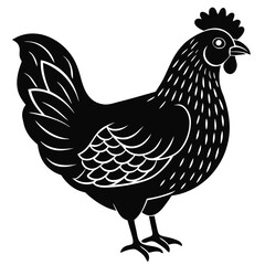 hen vector illustration