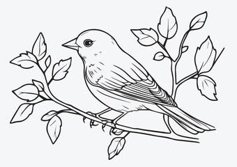 Minimalist Line Art Bird Perched on a Branch in Elegant Design. Perfect for Nature-Themed Coloring Books and Illustrations