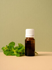 Fresh peppermint leaves complement a glass bottle filled with fragrant extract on a calm background