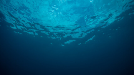 underwater world map