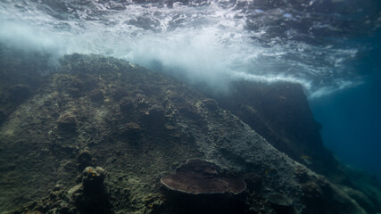 aerial view of the sea