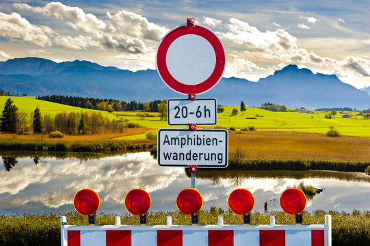 In der N&auml;he von Marktoberdorf ist eine Stra&szlig;e wegen Amphibienwanderung nachts gesperrt - FOTOMONTAGE
