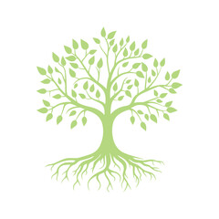 Fototapeta premium Nature Tree with Roots and Branches – Green Vector Illustration
