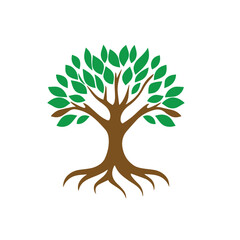 Fototapeta premium Green Tree with Strong Roots – Nature and Growth Vector Illustration