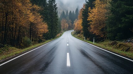Fototapeta premium Rainy autumn day in the forest with a perfect asphalt mountain road Overcast sky wet roadway reflecting light and pine trees in the Italian Alps A foggy woodland highway empty and