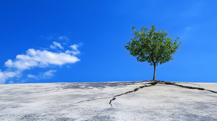 A lonely tree in concrete, ecology theme