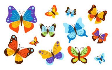 Colorful of various butterfly species collection. Isolated bright insects. Vector illustration