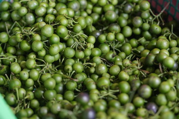 Solanum torvum, commonly known as turkey berry, pea eggplant, or wild eggplant, is a small, round fruit-bearing plant from the Solanaceae (nightshade) family. 