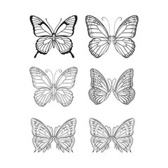 Butterfly outlines, simple sketch, minimalist drawing, black and white illustration