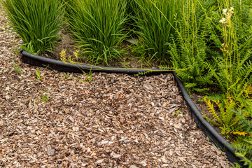 Mulching the soil with bark. Mulch of flowerbed with pine or larch bark. Plastic garden curb