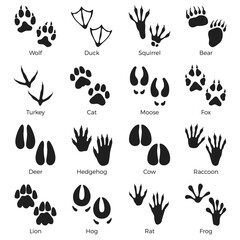 Animals footprints black silhouettes. Birds, reptiles and mammals feet prints, wild fauna steps, paws traces, wild wolf, duck and frog steps, pawprint icons, nowaday vector isolated set © YummyBuum
