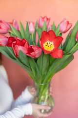 Woman holding spring bouquet of pink tulip flowers in her hands on pink background. Close up