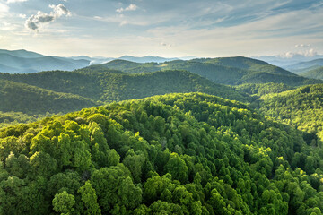 Great Smokey Mountains in summer season. Mountain wooded hills in North Carolina Appalachians, USA