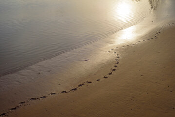 Huellas de paseo por la arena junto a la orilla del mar