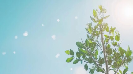 Fototapeta premium Sunny day, green plant, blue sky, bokeh background, nature