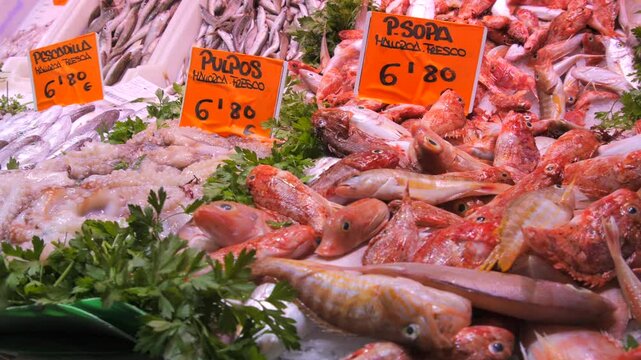 Fresh Seafood Display at Local Market