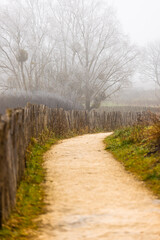 Chemin brumeux 