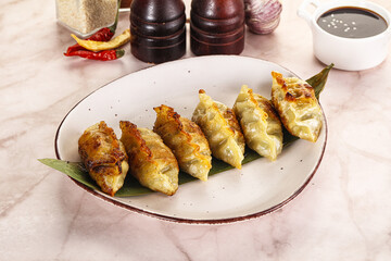 Fried Japanese stuffed dumplings - Gyoza
