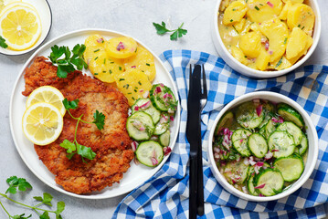 Traditional Viennese schnitzel on a plate with cucumber and potato salad.selective focus