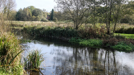 Tranquil chalk stream running through Wiltshire in England.