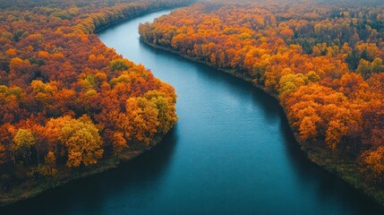 Autumn River Landscape: Aerial View of a Serene Forest River in Vibrant Fall Colors
