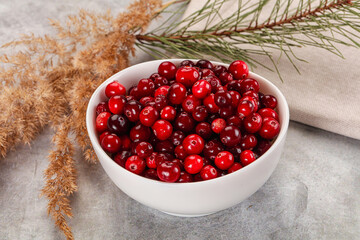 Ripe sweet sour cranberry heap