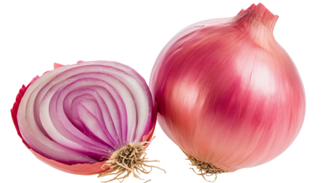 Fresh red onion bulb and a half showing purple layers on transparent background