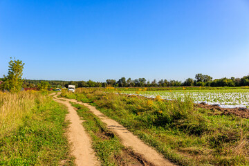 Obraz premium Dirt road in the countryside outside the village