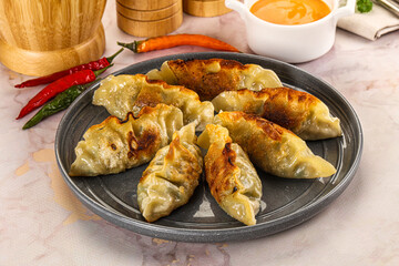 Japanese fried Gyoza stuffed dumplings
