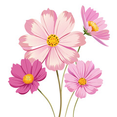 Light Pink Cosmos Vector Unique Floral Styles with Yellow Centers on White Background