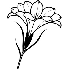 Elegant Lily in Bloom: A delicate black and white illustration of a lily, showcasing its graceful petals and leaves against a plain backdrop, perfect for various artistic applications.