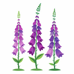 Foxgloves Floral Trio: Vibrant illustration of three foxglove flowers in full bloom, capturing the intricate details and colors of these iconic blooms.