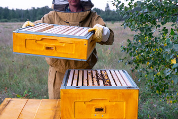 A beekeeper, a woman in a protective suit against bee stings, holds a frame with honey from a bee...