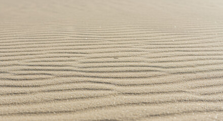 Obraz premium Sand Dunes: Natural Textures of Arid Desert Landscape - Calm & Peaceful Beach Scene