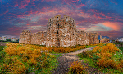 Fototapety na wymiar - Fototapeta24.pl