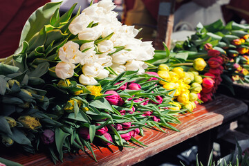 Close-up rows fresh yellow Dutch tulip bouquets lay wooden table vibrant street flower market sale....