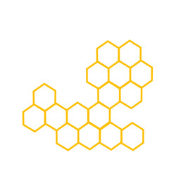 Bee hive