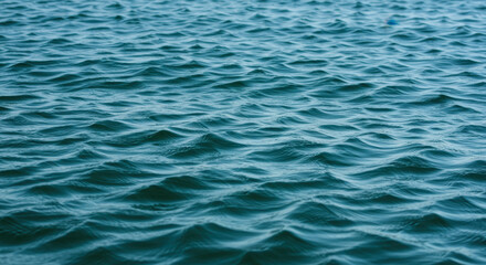 Fototapeta premium Blue Ocean Waves: Serene Seascape Photography, Ripples on Water, Tranquil Sea Surface, Aquatic Beauty, Calm Waters, Nature's Embrace